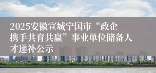 2025安徽宣城宁国市“政企携手共育共赢”事业单位储备人才递补公示