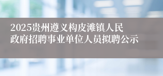 2025贵州遵义构皮滩镇人民政府招聘事业单位人员拟聘公示