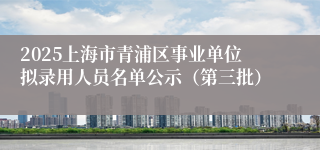2025上海市青浦区事业单位拟录用人员名单公示（第三批）