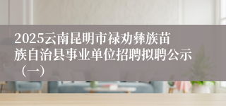 2025云南昆明市禄劝彝族苗族自治县事业单位招聘拟聘公示（一）