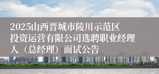 2025山西晋城市陵川示范区投资运营有限公司选聘职业经理人（总经理）面试公告