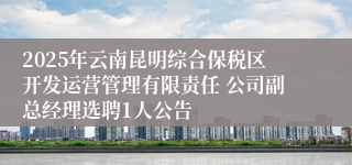 2025年云南昆明综合保税区开发运营管理有限责任 公司副总经理选聘1人公告