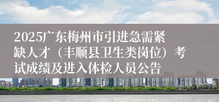 2025广东梅州市引进急需紧缺人才（丰顺县卫生类岗位）考试成绩及进入体检人员公告