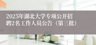 2025年湖北大学专项公开招聘2名工作人员公告（第三批）