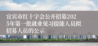 宜宾市红十字会公开招募2025年第一批就业见习提能人员拟招募人员的公示
