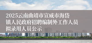 2025云南曲靖市宣威市海岱镇人民政府招聘编制外工作人员拟录用人员公示