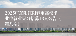 2025广东阳江阳春市高校毕业生就业见习招募13人公告（第八期）