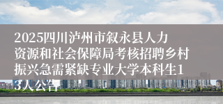 2025四川泸州市叙永县人力资源和社会保障局考核招聘乡村振兴急需紧缺专业大学本科生13人公告