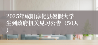 2025年咸阳淳化县暑假大学生到政府机关见习公告（50人）