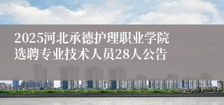 2025河北承德护理职业学院选聘专业技术人员28人公告