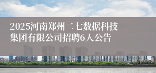2025河南郑州二七数据科技集团有限公司招聘6人公告