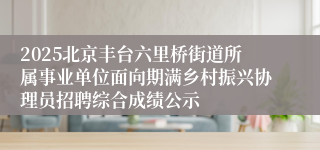 2025北京丰台六里桥街道所属事业单位面向期满乡村振兴协理员招聘综合成绩公示