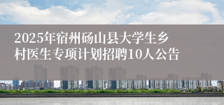 2025年宿州砀山县大学生乡村医生专项计划招聘10人公告