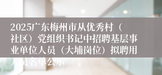 2025广东梅州市从优秀村（社区）党组织书记中招聘基层事业单位人员（大埔岗位）拟聘用人员名单公示