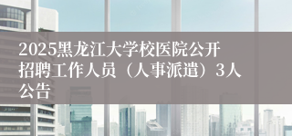 2025黑龙江大学校医院公开招聘工作人员（人事派遣）3人公告