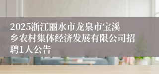 2025浙江丽水市龙泉市宝溪乡农村集体经济发展有限公司招聘1人公告