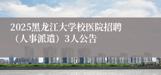 2025黑龙江大学校医院招聘（人事派遣）3人公告