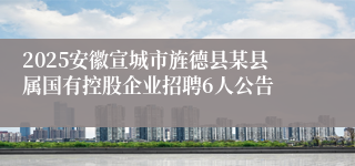2025安徽宣城市旌德县某县属国有控股企业招聘6人公告