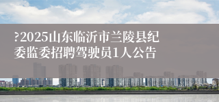 ?2025山东临沂市兰陵县纪委监委招聘驾驶员1人公告