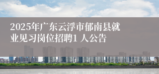 2025年广东云浮市郁南县就业见习岗位招聘1 人公告