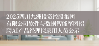 2025四川九洲投资控股集团有限公司软件与数据智能军团招聘AI产品经理拟录用人员公示
