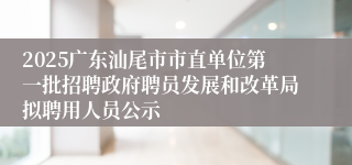 2025广东汕尾市市直单位第一批招聘政府聘员发展和改革局拟聘用人员公示