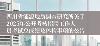四川省能源地质调查研究所关于2025年公开考核招聘工作人员考试总成绩及体检事项的公告