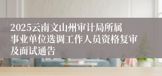 2025云南文山州审计局所属事业单位选调工作人员资格复审及面试通告
