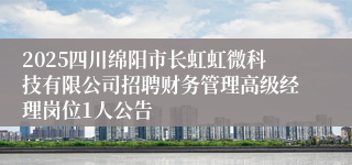 2025四川绵阳市长虹虹微科技有限公司招聘财务管理高级经理岗位1人公告