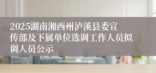 2025湖南湘西州泸溪县委宣传部及下属单位选调工作人员拟调人员公示
