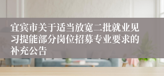 宜宾市关于适当放宽二批就业见习提能部分岗位招募专业要求的补充公告