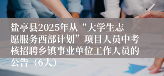 盐亭县2025年从“大学生志愿服务西部计划”项目人员中考核招聘乡镇事业单位工作人员的公告（6人）