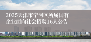 2025天津市宁河区所属国有企业面向社会招聘16人公告