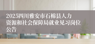 2025四川雅安市石棉县人力资源和社会保障局就业见习岗位公告