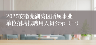 2025安徽芜湖湾区所属事业单位招聘拟聘用人员公示（一）