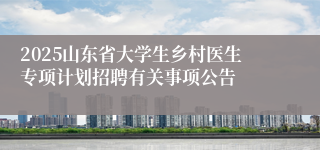 2025山东省大学生乡村医生专项计划招聘有关事项公告