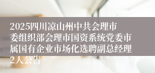 2025四川凉山州中共会理市委组织部会理市国资系统党委市属国有企业市场化选聘副总经理2人公告