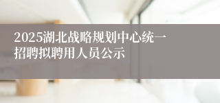 2025湖北战略规划中心统一招聘拟聘用人员公示