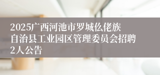 2025广西河池市罗城仫佬族自治县工业园区管理委员会招聘2人公告