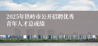 2025年铁岭市公开招聘优秀青年人才总成绩
