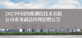 2025中国四维测绘技术有限公司业务副总经理招聘公告