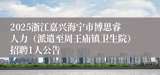 2025浙江嘉兴海宁市博思睿人力（派遣至周王庙镇卫生院）招聘1人公告