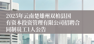 2025年云南楚雄州双柏县国有资本投资管理有限公司招聘合同制员工1人公告