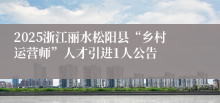 2025浙江丽水松阳县“乡村运营师”人才引进1人公告