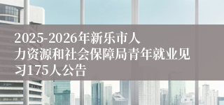 2025-2026年新乐市人力资源和社会保障局青年就业见习175人公告