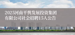 2025河南平舆发展投资集团有限公司社会招聘15人公告