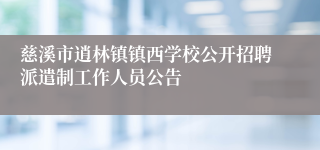 慈溪市逍林镇镇西学校公开招聘派遣制工作人员公告