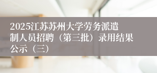2025江苏苏州大学劳务派遣制人员招聘（第三批）录用结果公示（三）