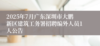 2025年7月广东深圳市大鹏新区建筑工务署招聘编外人员1人公告