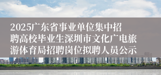 2025广东省事业单位集中招聘高校毕业生深圳市文化广电旅游体育局招聘岗位拟聘人员公示